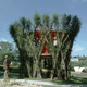Image for article titled Behold These Incredible Works Of Architecture Made Out Of Living Trees